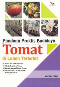 Panduan praktis budidaya tomat di lahan terbatas
